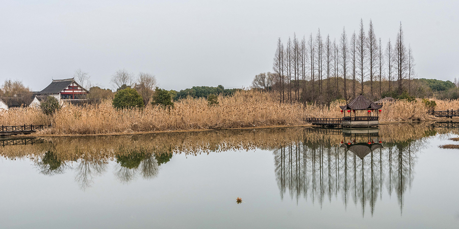 【沙家浜映畫:2019年春節拍攝于常熟市沙家浜蘆葦蕩風景區攝影圖片】風光