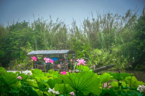 粽 情一夏 我市文旅市場逐漸復(fù)蘇回暖