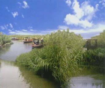 怎樣把握去沙家浜的最佳旅游時間