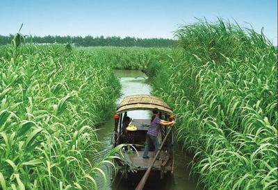 權(quán)威發(fā)布,常熟全市A級(jí)景區(qū)恢復(fù)對(duì)外開放!