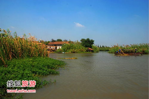 國慶預(yù)演 尋個(gè)鄉(xiāng)野味十足的悠閑地