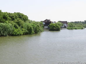 游走在沙家浜濕地公園