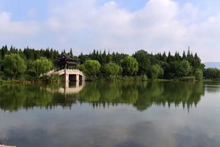 金秋自駕行 尚湖煙波與沙家浜情懷